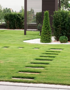 Beautiful modern garden featuring stepping stone pathway, well-manicured grass, and decorative shrubs, creating a serene outdoor space for relaxation and aesthetic appeal.